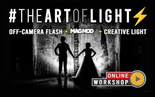Art of Light // Next Level Online Workshop Off-Camera Flash + MagMod + Lightroom (ENG)
